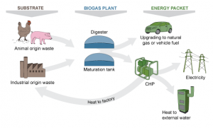 Producción y aprovechamiento del biogás