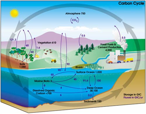 Flujo del CO2 entre el suelo y la atmósfera